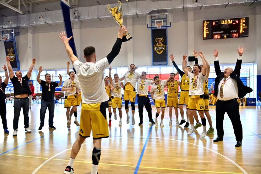 Żubry w złotym blasku!